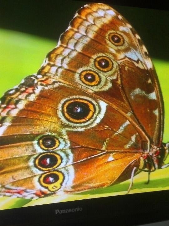 7FA8041C-7D09-42F0-8EA5-BEFD6C5E88E4